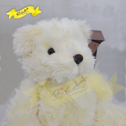 熊公仔Teddy Bear 混色白色 (43cm)