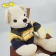 絲絨冷布熊公仔Teddy Bear 連冷衫 (40cm) 