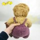 傳統熊公仔Teddy Bear 金色- 連杏色絲絨冷針織連身裙 (40cm) 