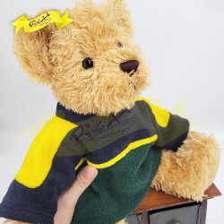 傳統熊公仔Teddy Bear 啡色- 連衣服 (33cm) 