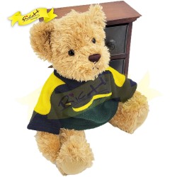 傳統熊公仔Teddy Bear 啡色- 連衣服 (33cm) 